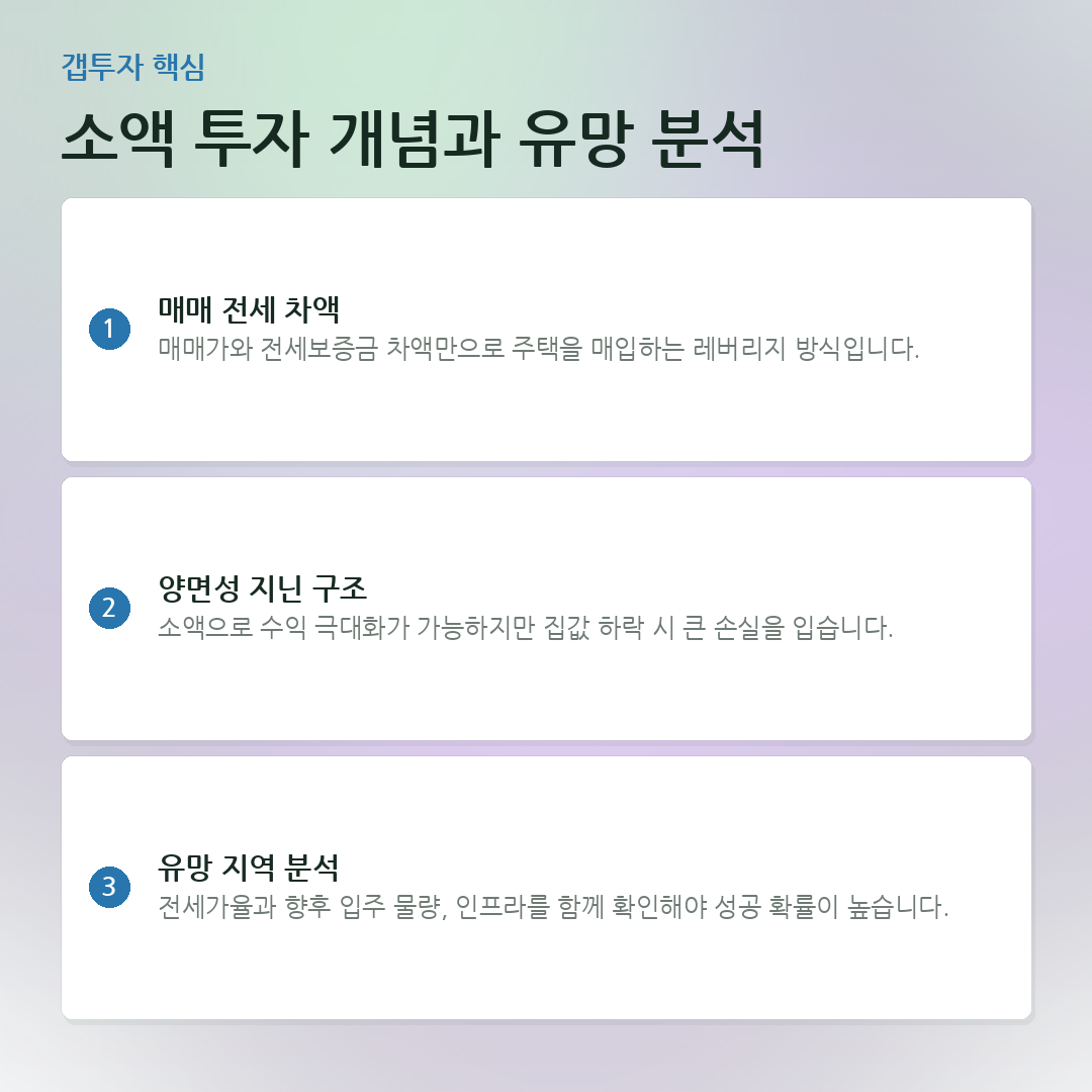 소액 투자 개념과 유망 분석 요약 카드