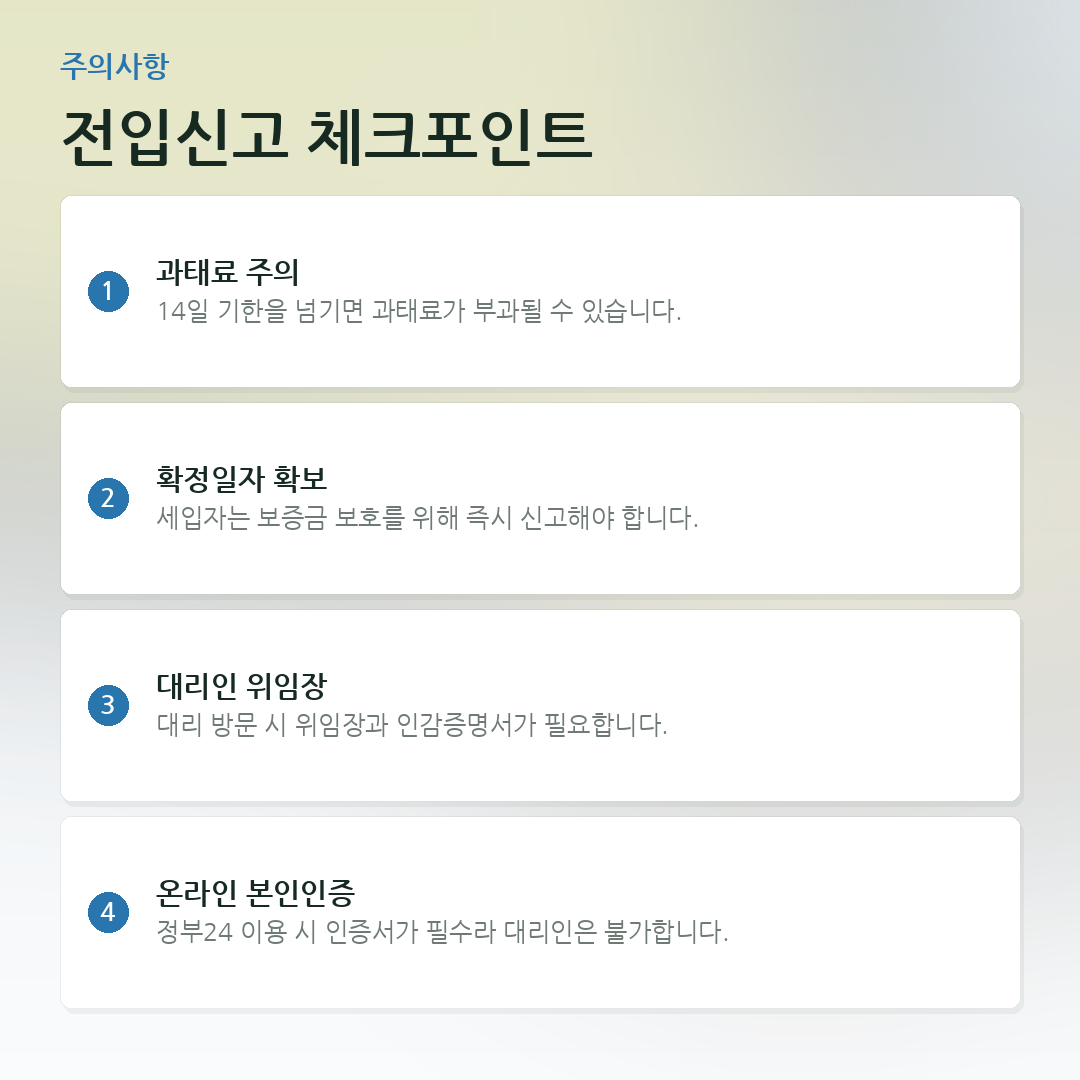 전입신고 체크포인트 요약 카드