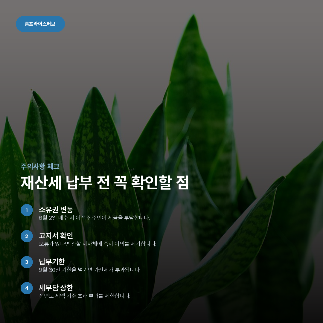 재산세 납부 전 꼭 확인할 점 요약 카드