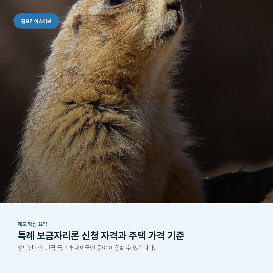 특례 보금자리론 신청 자격과 주택 가격 기준
