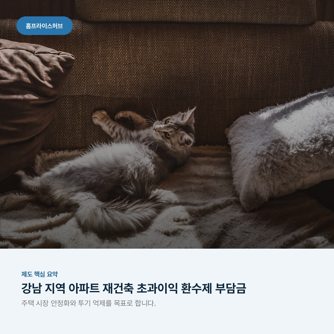 강남 지역 아파트 재건축 초과이익 환수제 부담금
