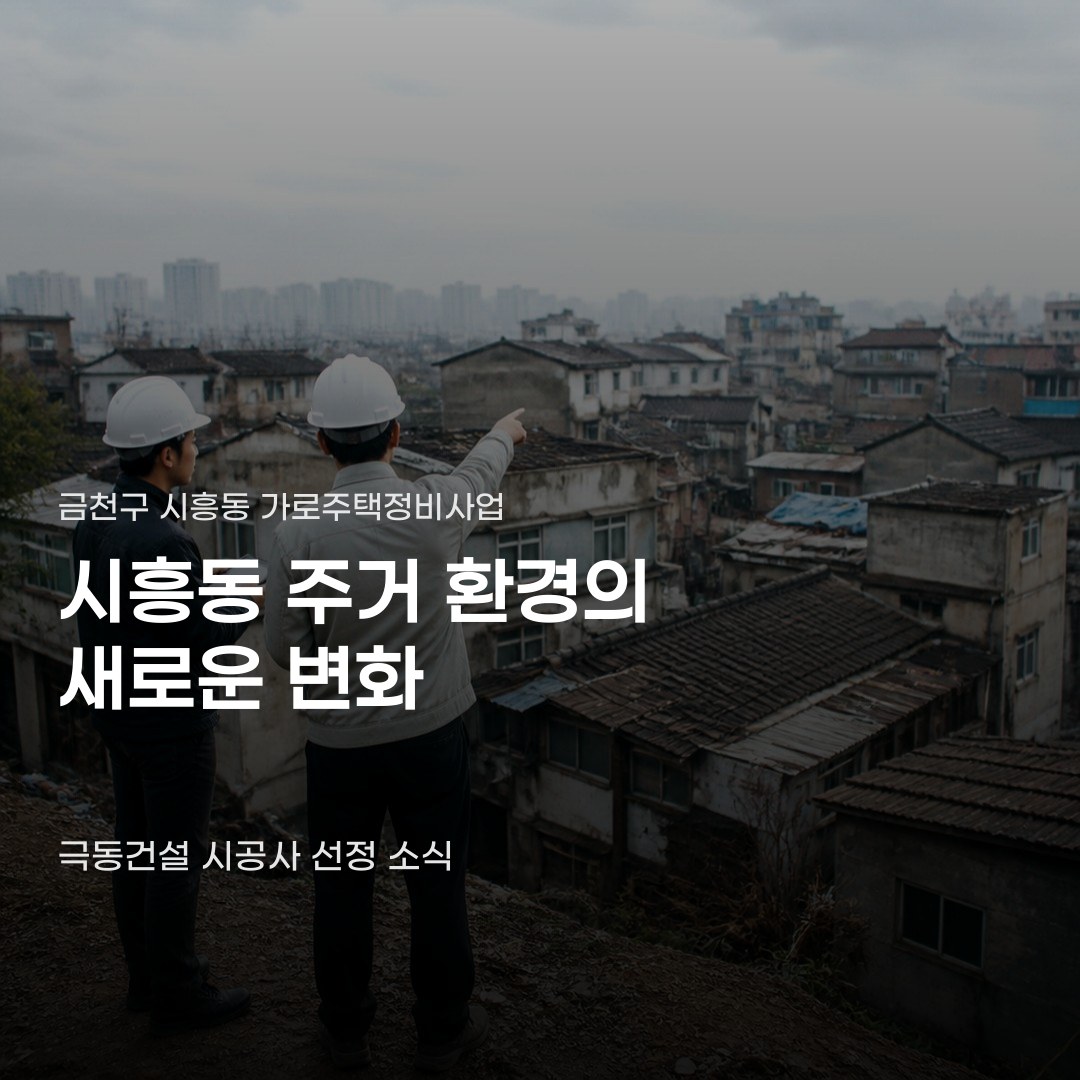 서울 시흥동 정비사업 수주, 사업 규모와 정비 방식에 따른 차이